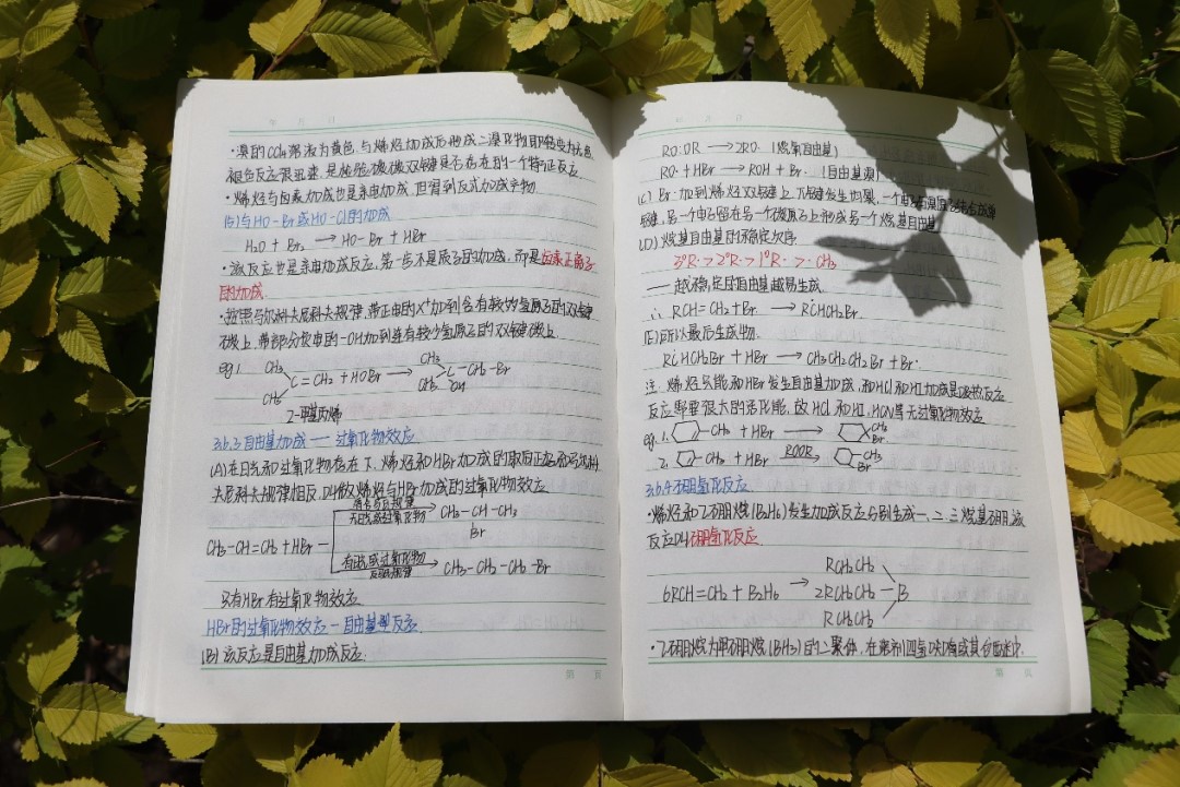 圖片七.jpg